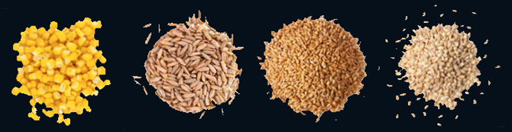 grains in a mash bill, buffalo trace mash bill, what is a mash bill, bourbon mash bill